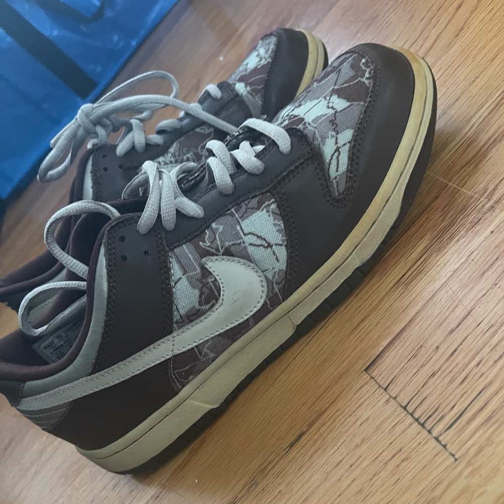 Kids Nike Dunks